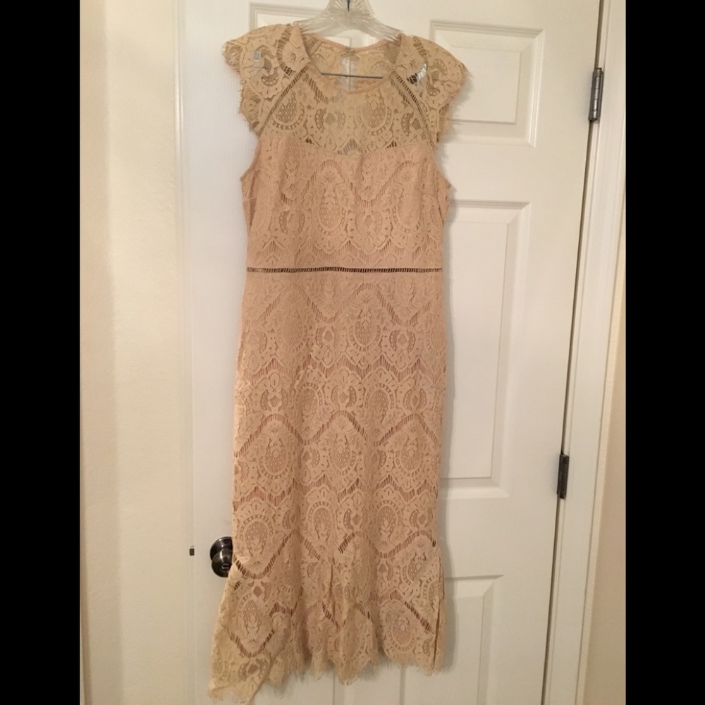 ‼️PRICE DROP TODAY‼️ Gorgeous cream lace body con Dress, from VICI😍❤️